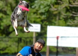 High Flying Skyhoundz Disc Dog Action – Skyhoundz Discdogathon