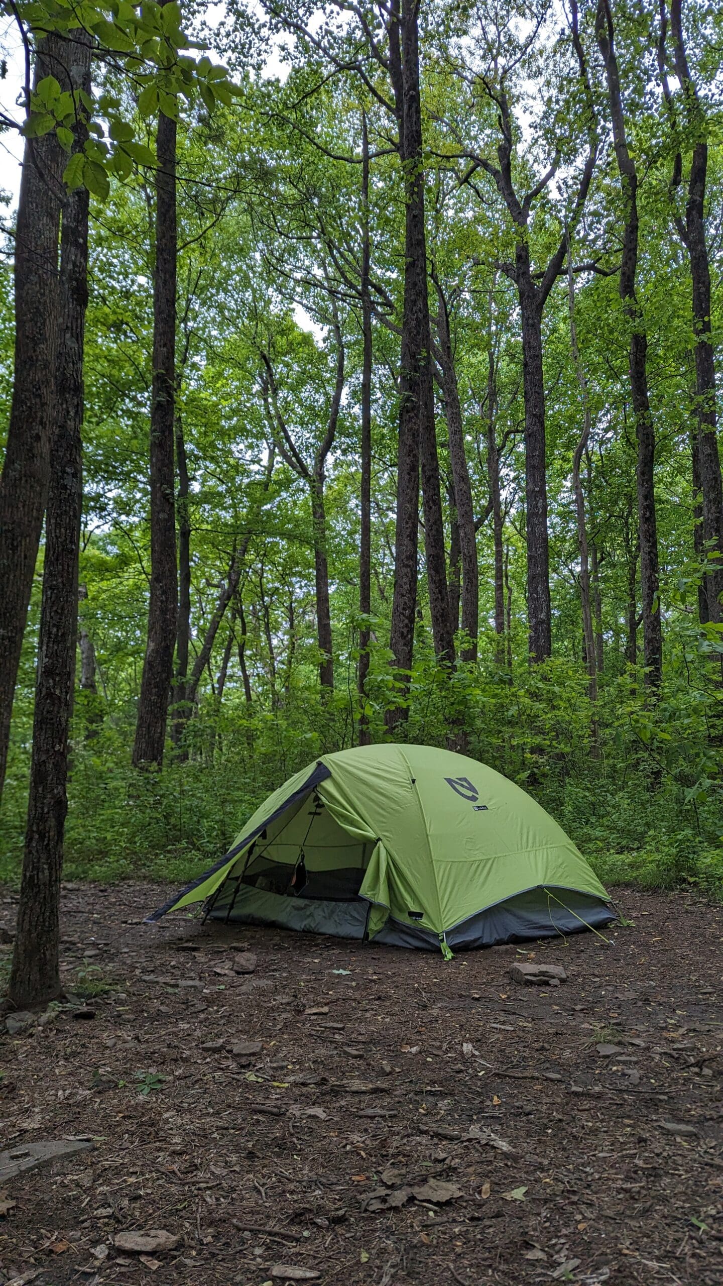 Preparing To Go Camping: What to Think About Before You Go