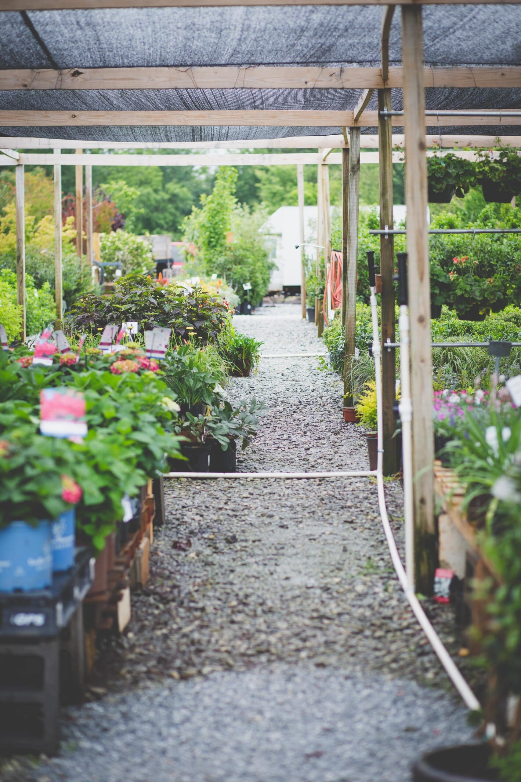 Preparing Perennials for Winter Workshop